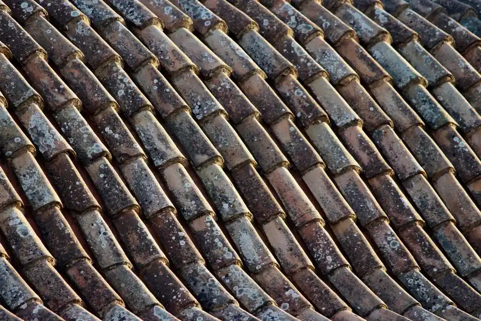 A detailed view of aged roof tiles showcasing a rustic pattern and texture.